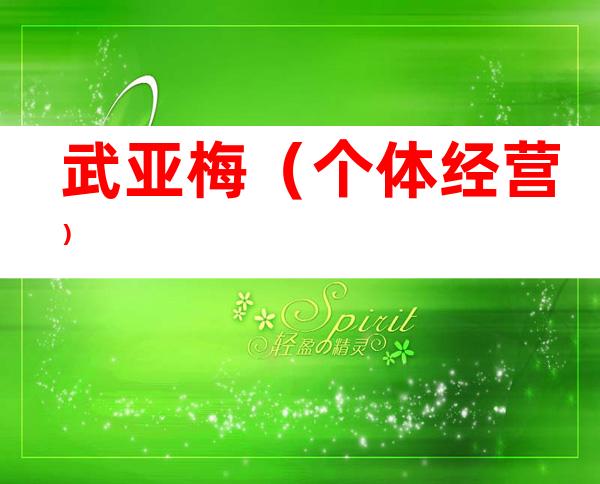 武亚梅（个体经营）